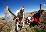 El 80% de agricultores sembrarán arroz en enero del 2016