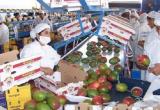 Se realizará en Lambayeque la Expo Agrotec Chiclayo 2015. (Foto Internet)
