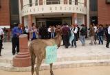 Trabajadores de la comuna de José Leonardo Ortiz inician lucha de protesta con un burro