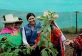 Capacitan en prácticas agrícolas a beneficiarios de piloto de frambuesa