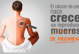 Foto Internet