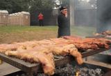 Se realizará el Festival del Chancho en Zaña