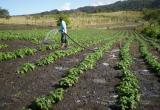 Agricultores piden ejecución de 26 obras de prevención en canales de riego contra el FEN