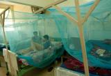 Foto pacientes-hospitales dengue
