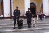 Policía Canina se prepara para búsqueda y rescate ante el FEN
