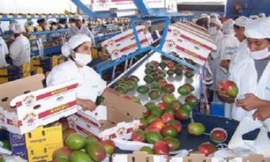 Se realizará en Lambayeque la Expo Agrotec Chiclayo 2015. (Foto Internet)