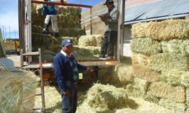 Foto cortesía Andina