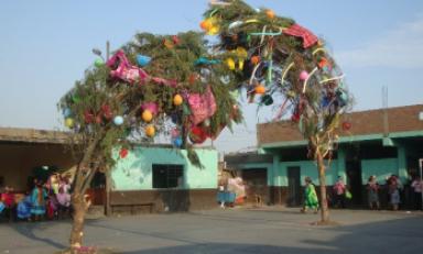 Foto: Referencial