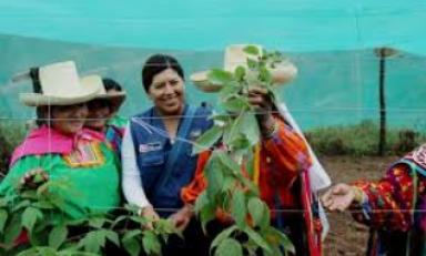 Capacitan en prácticas agrícolas a beneficiarios de piloto de frambuesa