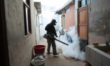 Fumigarán más de 2 mil casas de Olmos por caso de dengue (Foto: Cortesía)