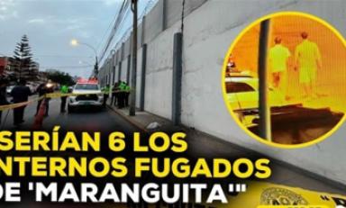 Foto: cortesía
