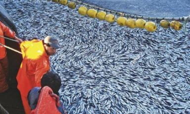 Foto referencial internet