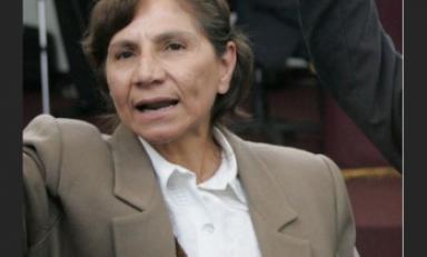 Foto: Internet  Foto: Internet