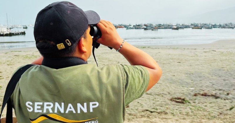 Refuerzan la vigilancia en áreas naturales protegidas para detectar enfermedades emergentes en fauna silvestre