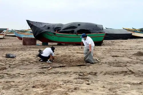 Recolectan más de 200 kilos de residuos sólidos del litoral de San José en Lambayeque