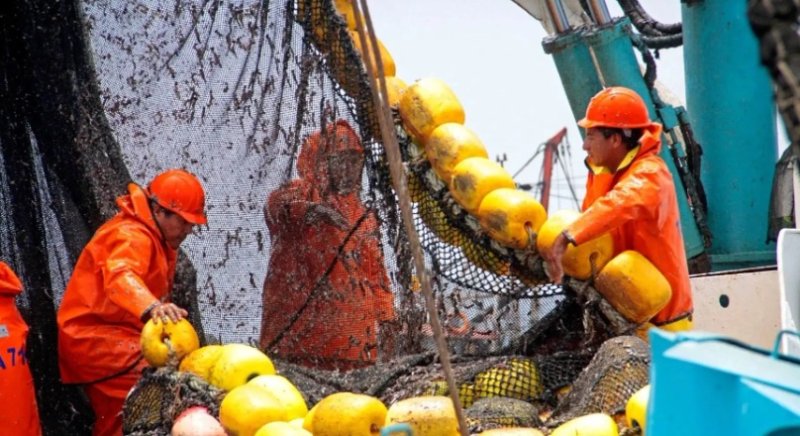 Disponen la suspensión de la pesca de anchoveta blanca en la zona norte centro del país