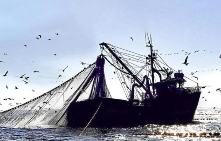 Empresarios pesqueros presentarán Plan de Emergencia a fin de afrontar Fenómeno El Niño