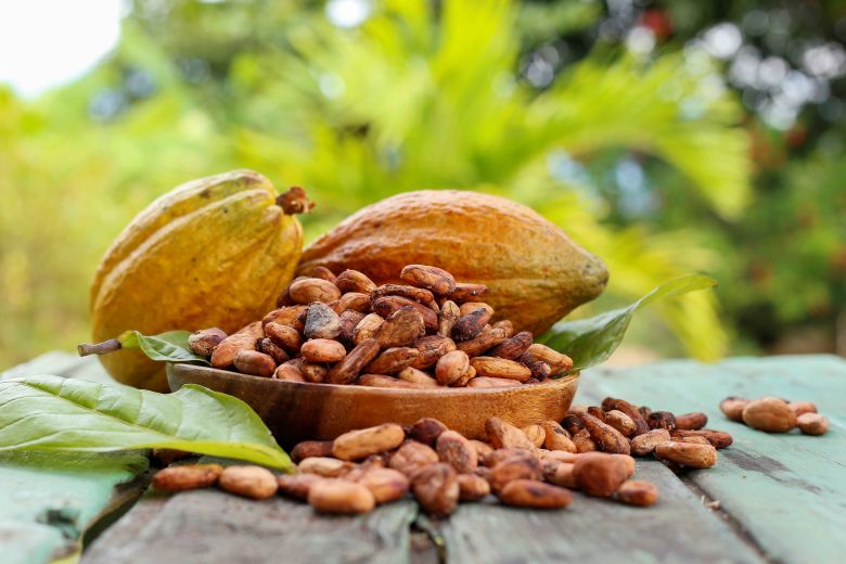 Día Mundial del Cacao:  aprueban norma que impulsa la calidad, trazabilidad y competitividad del cacao peruano