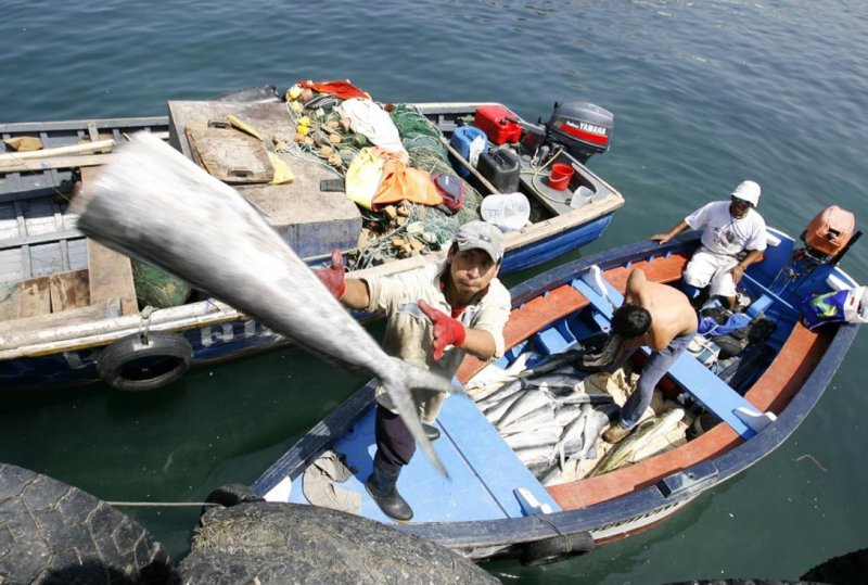 Lambayeque: paralizan la pesca artesanal por el fenómeno El Niño