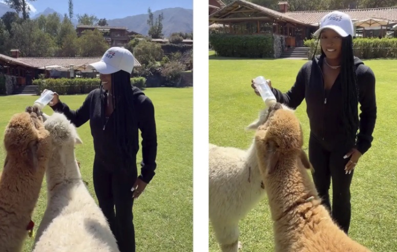 Gimnasta Simone Biles les dio biberón a alpacas en el Cusco: "El Perú es fantástico"