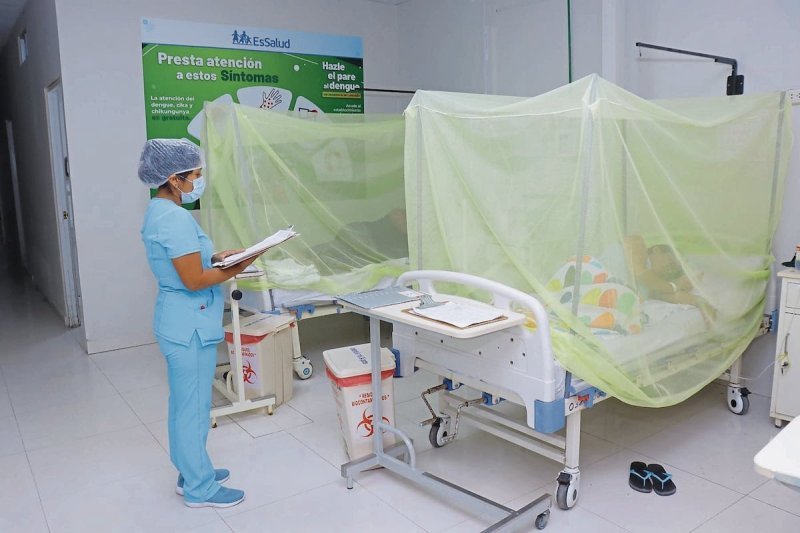 Lambayeque: nueve muertos por dengue y más de 4 mil casos confirmados