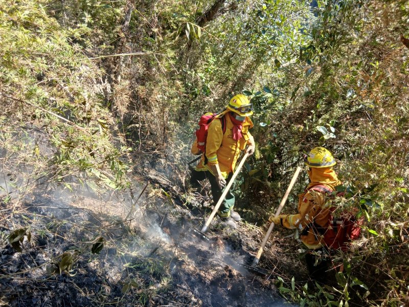 Minam despliega brigadas para controlar incendio forestal en el Santuario Histórico de Machupicchu