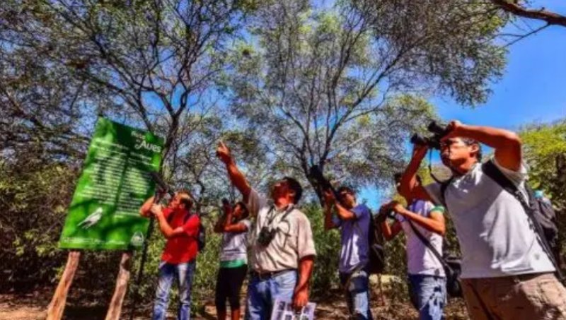 Bosque de Pómac recupera presencia de turistas extranjeros, proyecta superar las 20,000 visitas a fin de año