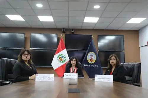 Presidenta del Poder Judicial reitera pedido de apoyo presupuestal al sistema de flagrancia