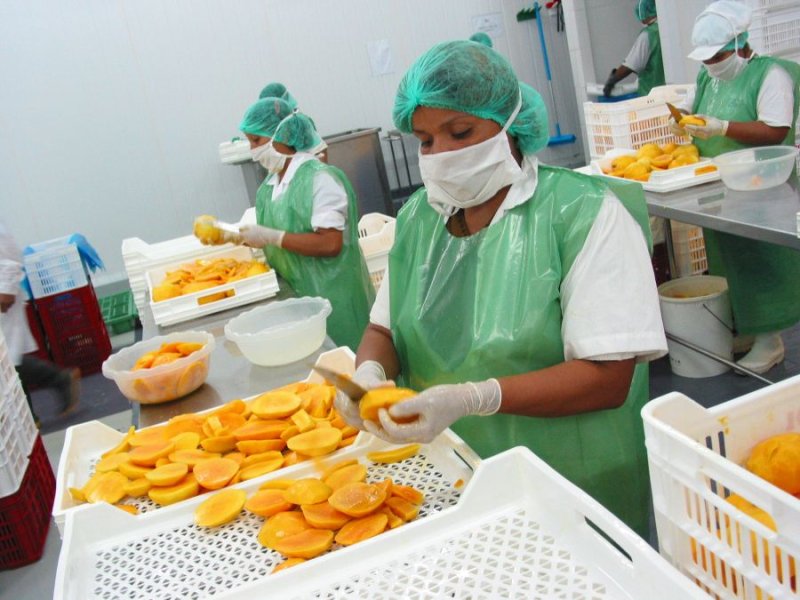 Del total de empresas exportadoras a agosto, el 88.5% fueron Mypes