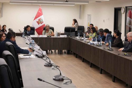 Senadores solicitan fortalecer protección del patrimonio cultural y garantizar la atención de regiones