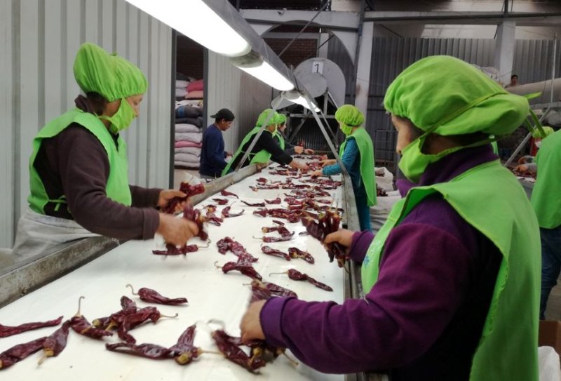 Adex: acercamiento entre Perú y México impulsaría la Alianza del Pacífico