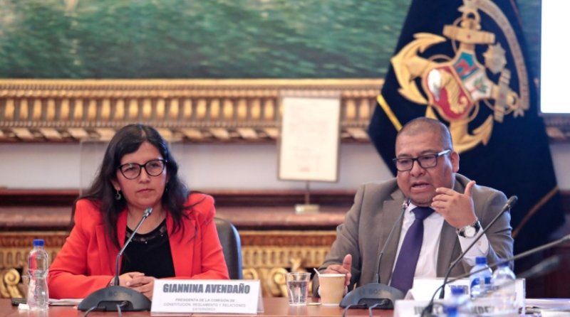 Comisión de Constitución de Diputados inicia debate de facultades delegadas