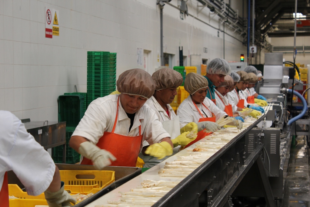 Adex: agroexportaciones peruanas  buscan nuevos récords