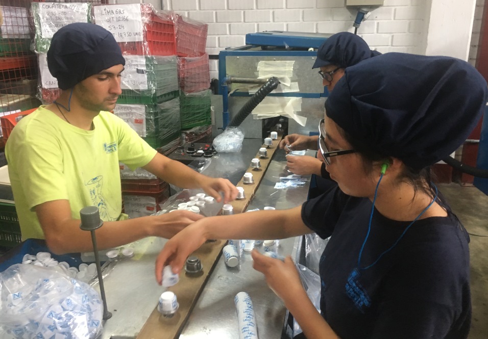 Entre enero y mayo exportaron 5 mil 632 empresas peruanas 