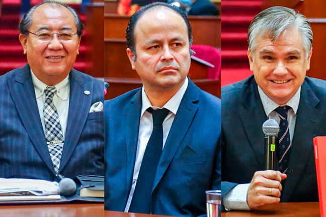 Pleno desestima candidaturas de Calle, Oyarce y Hakansson al TC