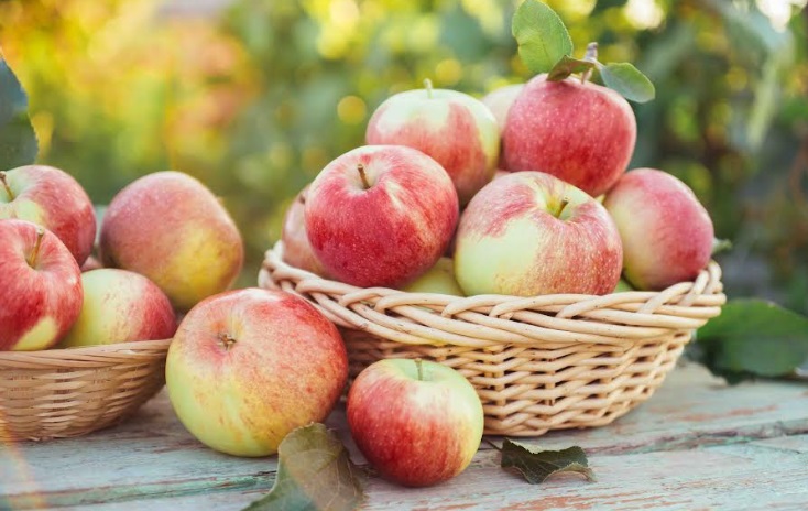 Establecen requisitos para impulsar el consumo y comercialización de manzanas de calidad