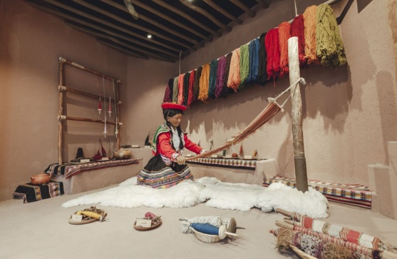 Más del 80% de la fibra de Alpaca mundial es peruana