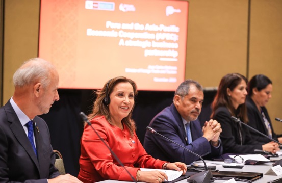 Boluarte: “Tenemos las puertas abiertas y reglas claras para las inversiones”