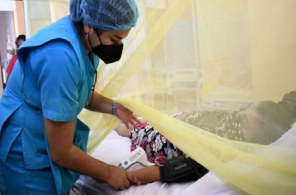 Lambayeque: reportan 84 casos de dengue en lo que va del año