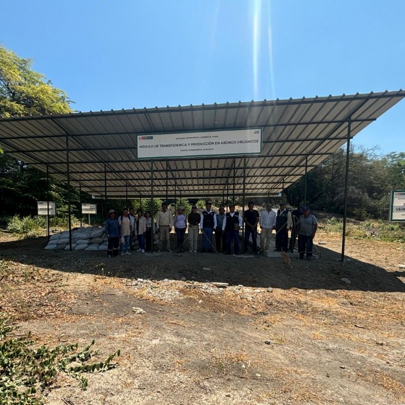 Transfieren tecnologías para mejorar calidad de suelos en mango y Limón a productores de Tambogrande