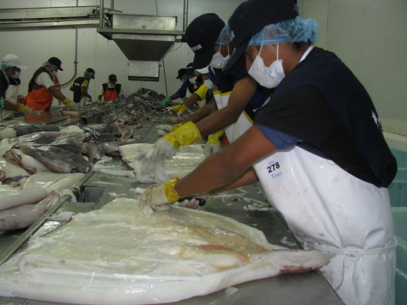 Trabajarán hoja de ruta para impulsar la pesca y acuicultura