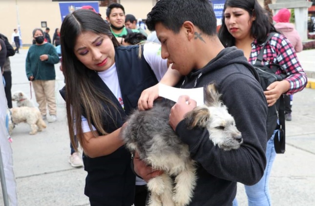 Lambayeque: Minsa refuerza vacunación de canes para prevenir la rabia