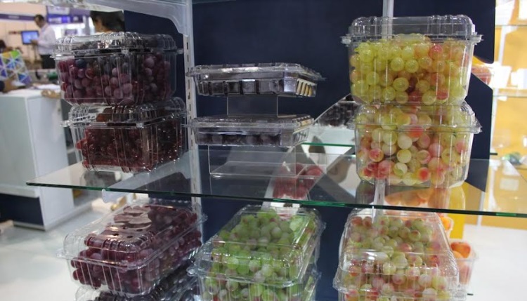 Campaña de exportación de uva inició con buen pie