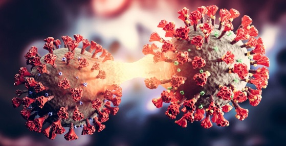 Actualización sobre la variante de interés EG.5 y la variante bajo vigilancia BA.2.86 del covid-19