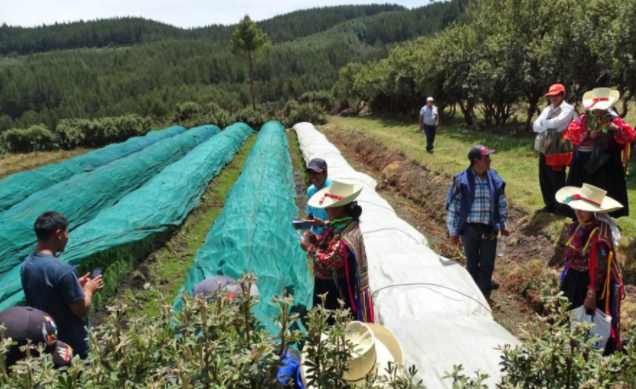  Invertirán cerca de S/ 35 millones en proyectos de riego en Cañaris