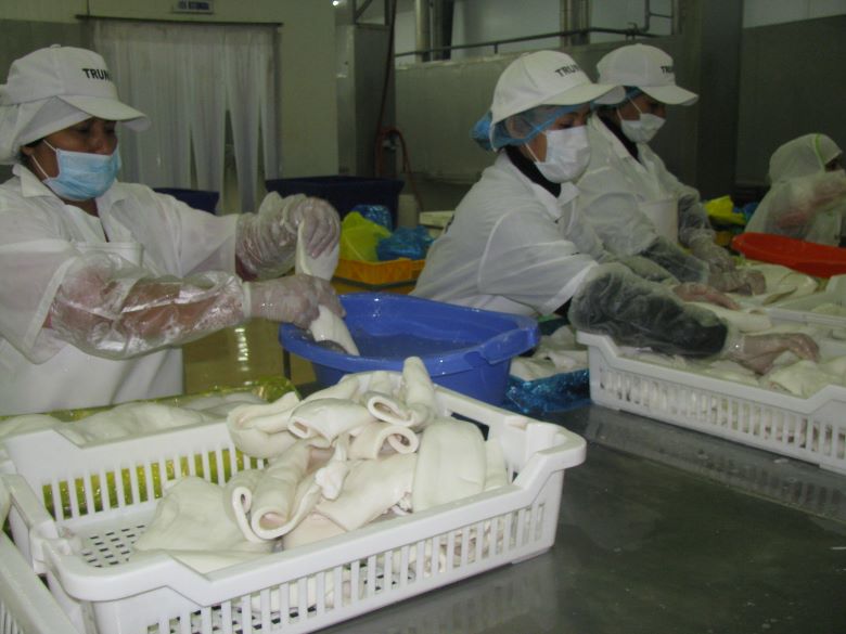 Exportaciones crecieron en  5.5% entre enero y mayo