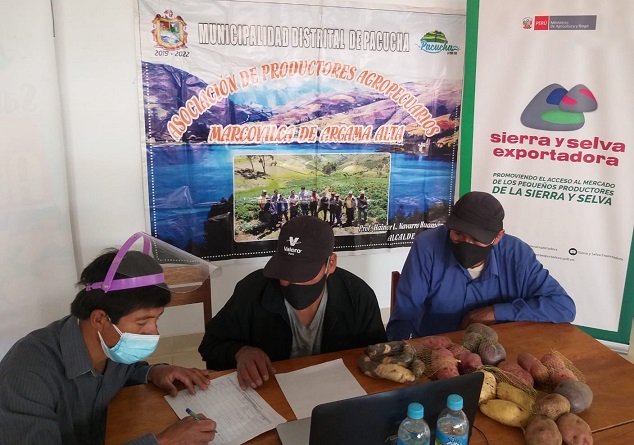 Más de 500 toneladas de papa en intenciones de compra logran productores en Rueda de Negocios Virtual