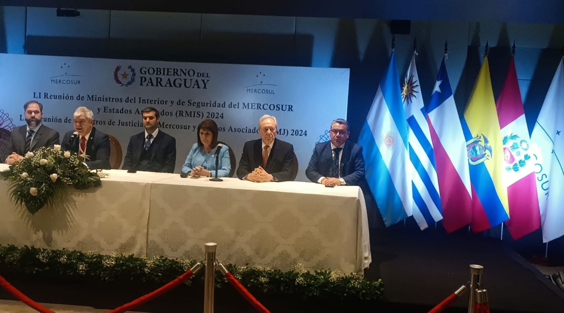 Perú promueve en Mercosur lucha conjunta contra crimen organizado transnacional