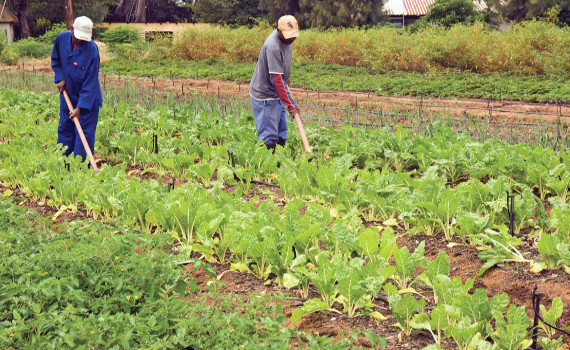 Diez departamentos contribuyeron al crecimiento de la economía peruana en segundo trimestre de 2018