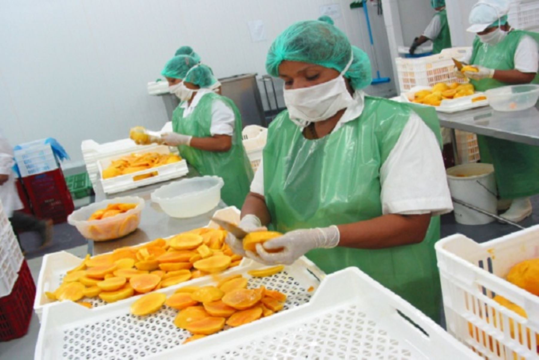 Agrobanco Midagri gestiona reprogramar deudas para agricultores de mango          